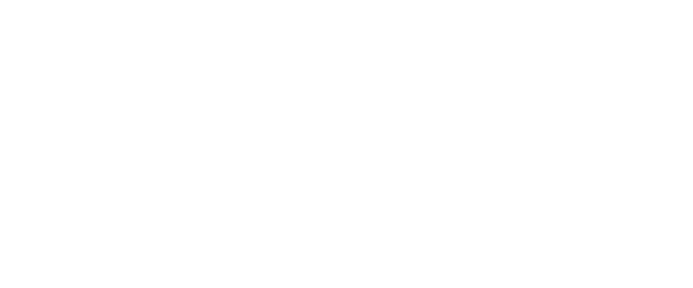 AkzoNobel Logo